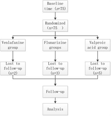 The Efficacy of Venlafaxine, Flunarizine, and Valproic Acid in the Prophylaxis of Vestibular Migraine